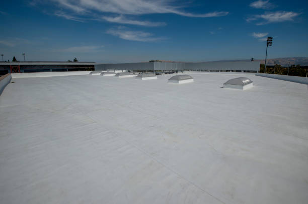 Best Emergency Roof Repair Services  in Bexley, OH